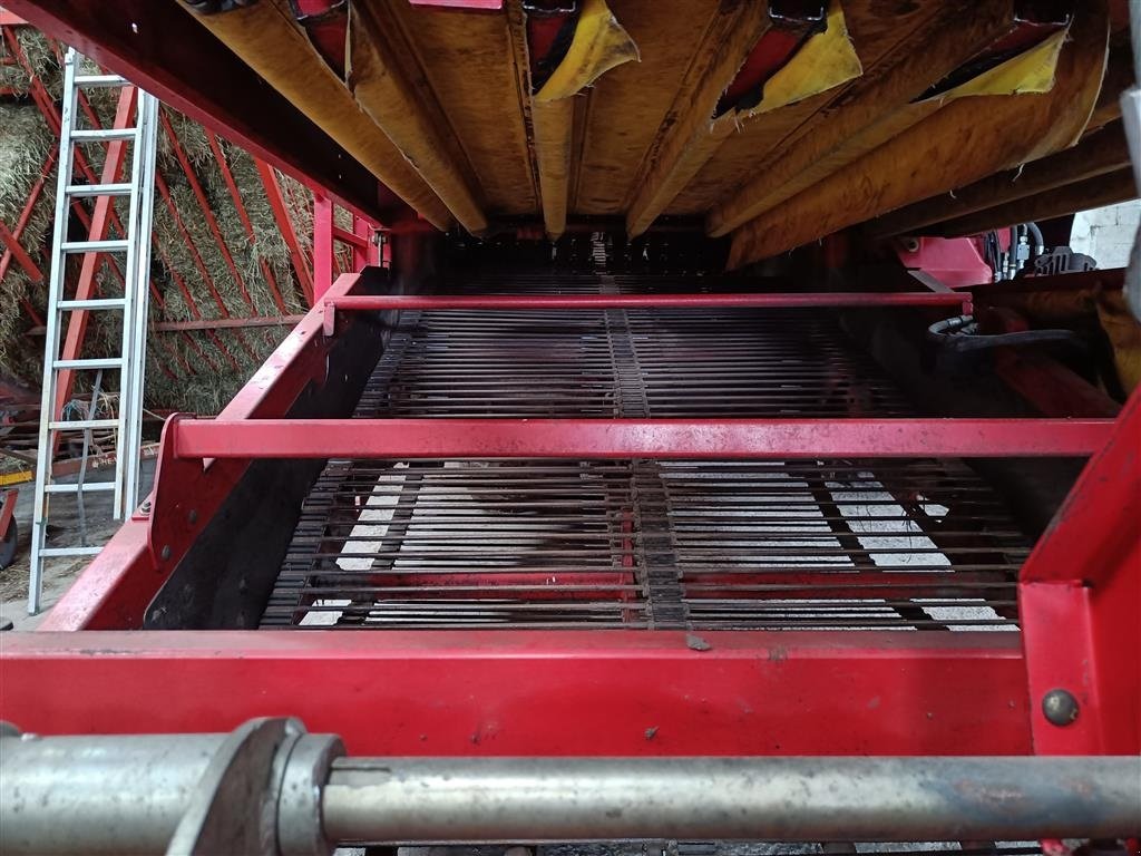 Kartoffelvollernter of the type Grimme SE 150-60 med hjultræk lavet som en 1700 mm indføring, Gebrauchtmaschine in Egtved (Picture 7)