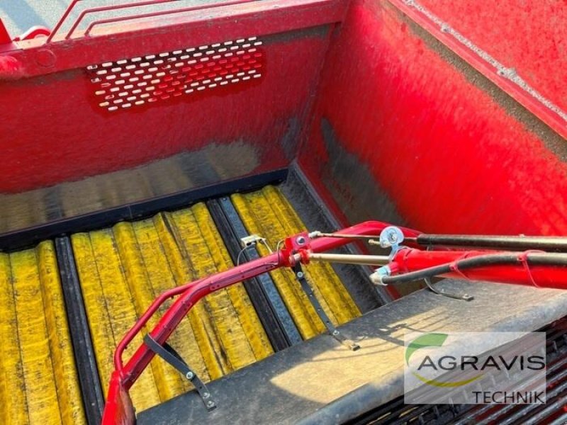 Kartoffelvollernter of the type Grimme SE 150-60 NB XXL-TRENNGERÄT, Gebrauchtmaschine in Meppen (Picture 14)