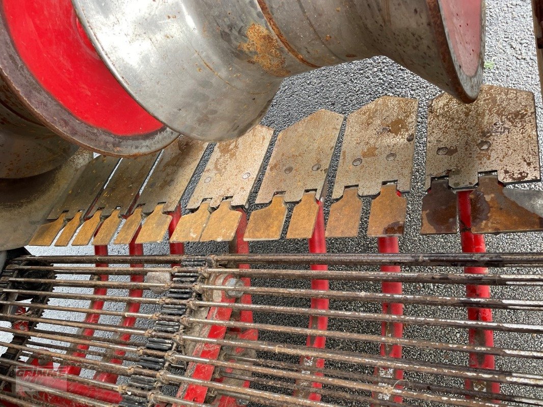 Kartoffelvollernter of the type Grimme SE 150-60 NB, Gebrauchtmaschine in Damme (Picture 12)