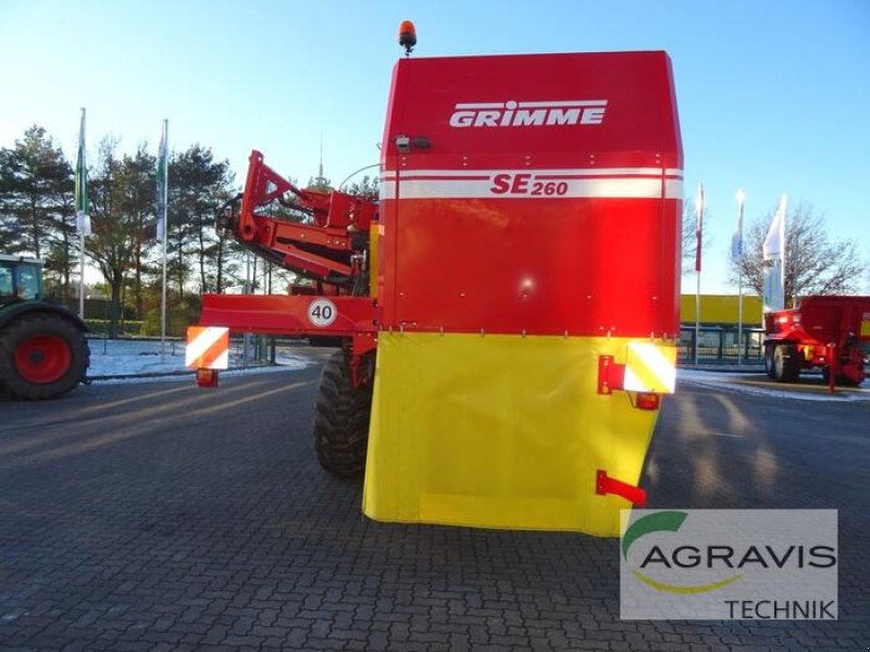 Kartoffelvollernter tip Grimme SE 260 NB, Gebrauchtmaschine in Meppen (Poză 4)