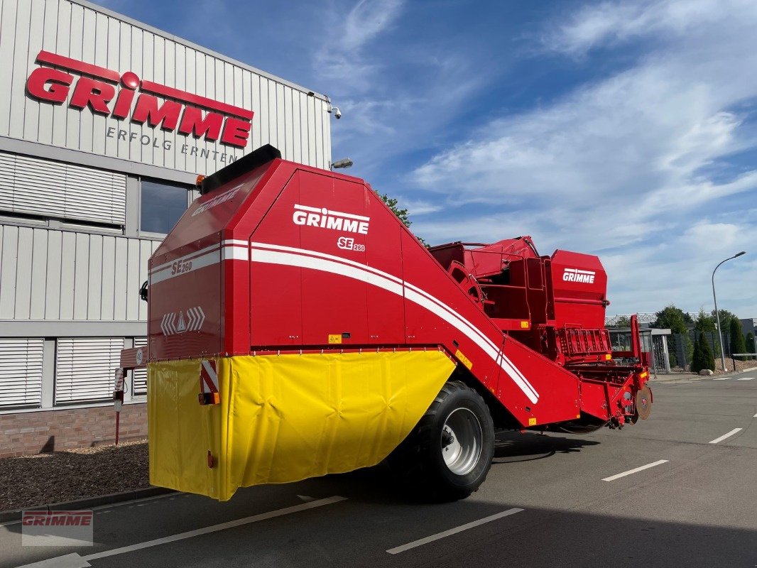 Kartoffelvollernter des Typs Grimme SE 260 NB, Gebrauchtmaschine in Damme (Bild 3)