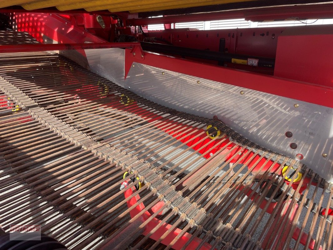 Kartoffelvollernter tip Grimme SE 260 NB, Gebrauchtmaschine in Damme (Poză 14)