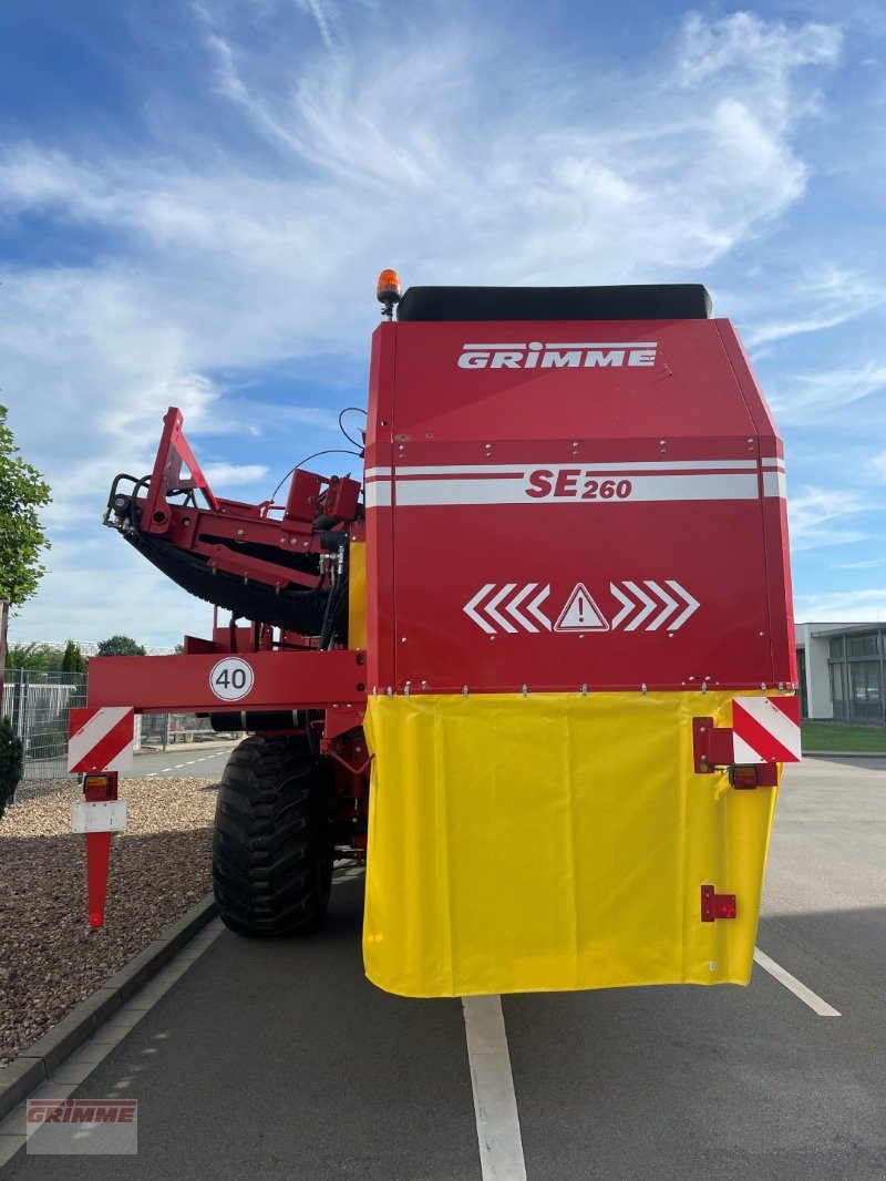 Kartoffelvollernter des Typs Grimme SE 260 NB, Gebrauchtmaschine in Damme (Bild 4)