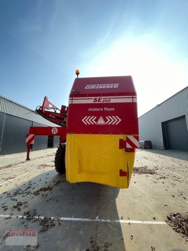 Kartoffelvollernter van het type Grimme SE 260 NB, Gebrauchtmaschine in Roeselare (Foto 5)