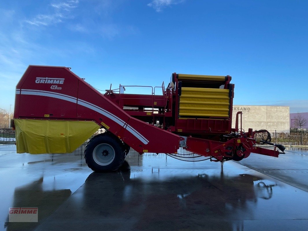 Kartoffelvollernter del tipo Grimme SE 260 NB, Gebrauchtmaschine en Roeselare (Imagen 4)