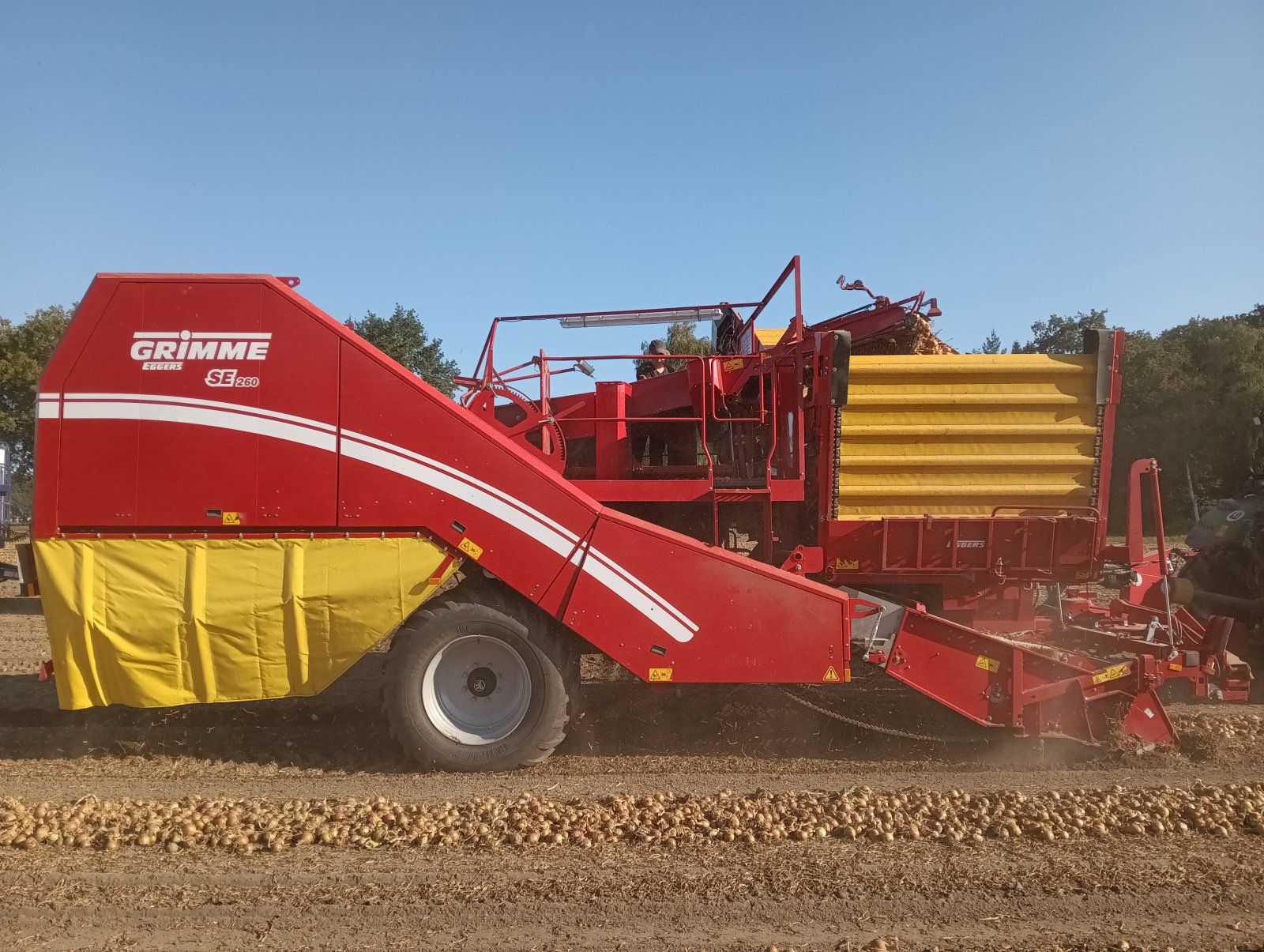 Kartoffelvollernter tip Grimme SE 260, Gebrauchtmaschine in Thomasburg (Poză 4)