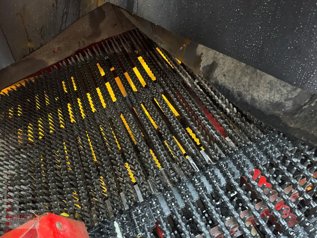 Kartoffelvollernter of the type Grimme SE 85-55 SB, Gebrauchtmaschine in Damme (Picture 16)