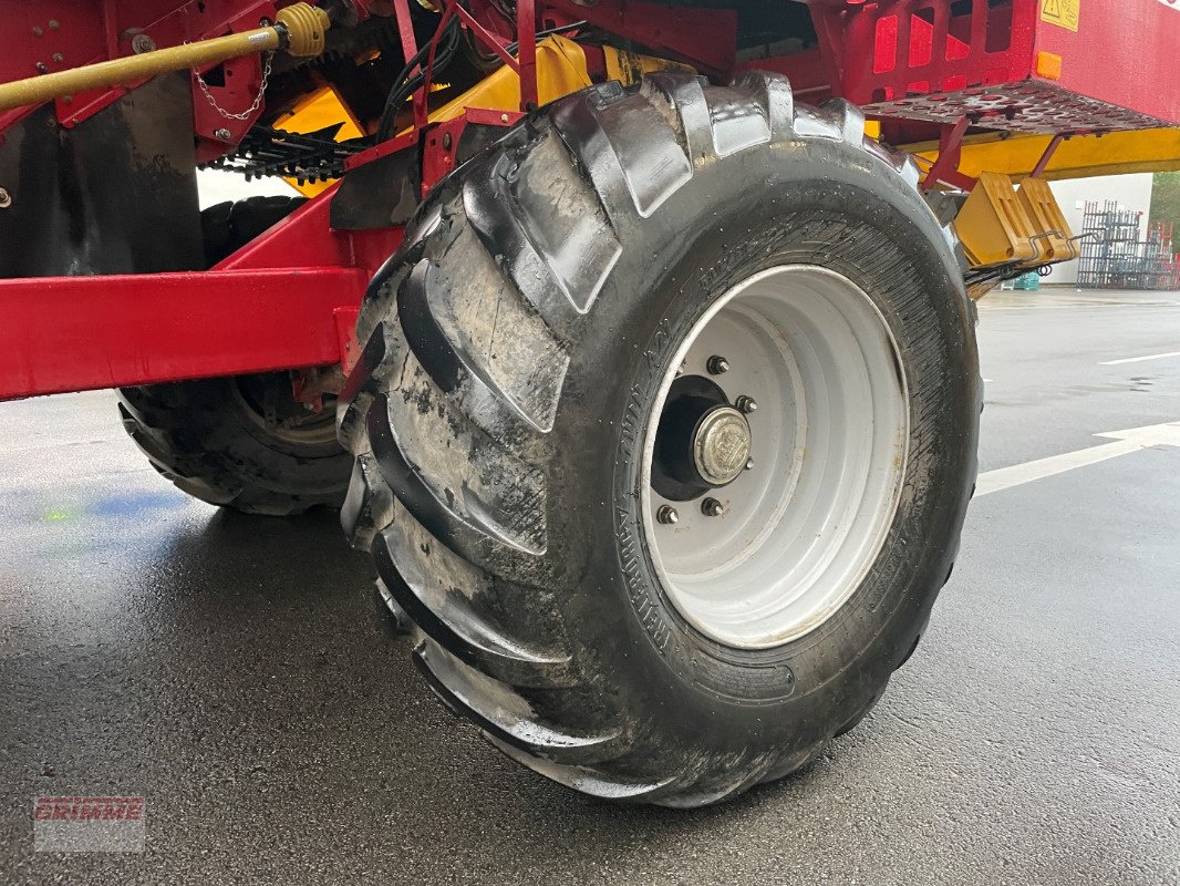 Kartoffelvollernter of the type Grimme SE 85-55 SB, Gebrauchtmaschine in Damme (Picture 23)