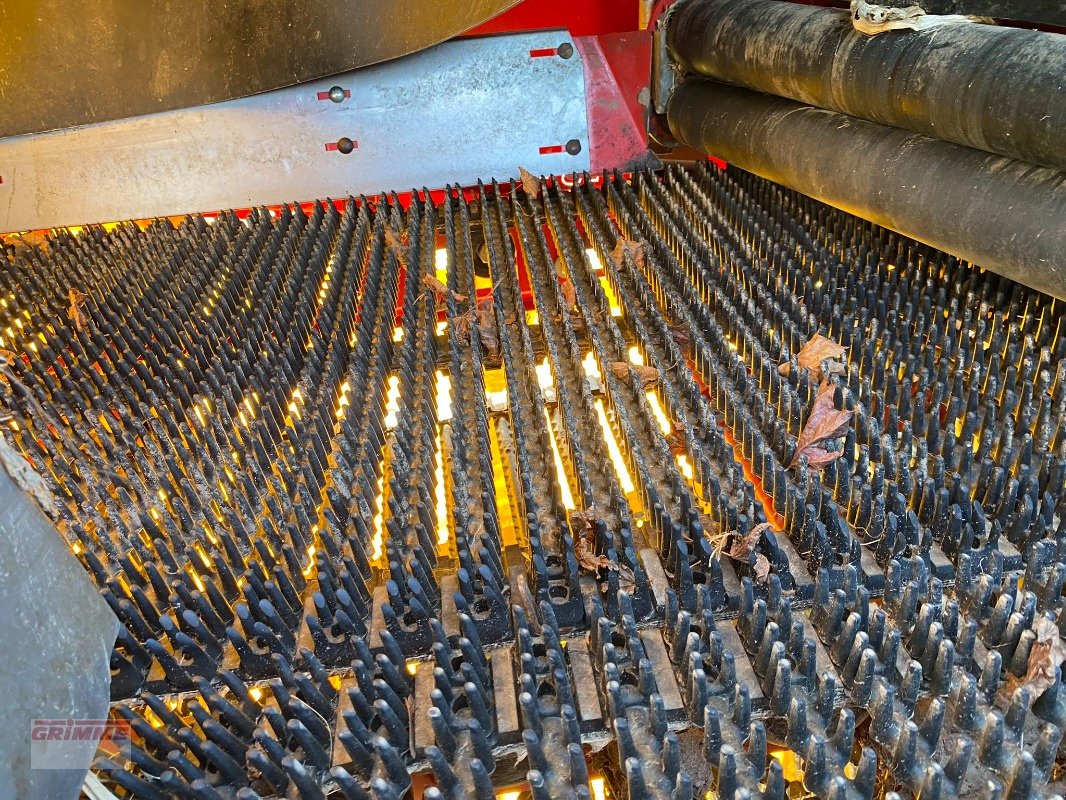 Kartoffelvollernter of the type Grimme SE 85-55 UB, Gebrauchtmaschine in Rødkærsbro (Picture 23)