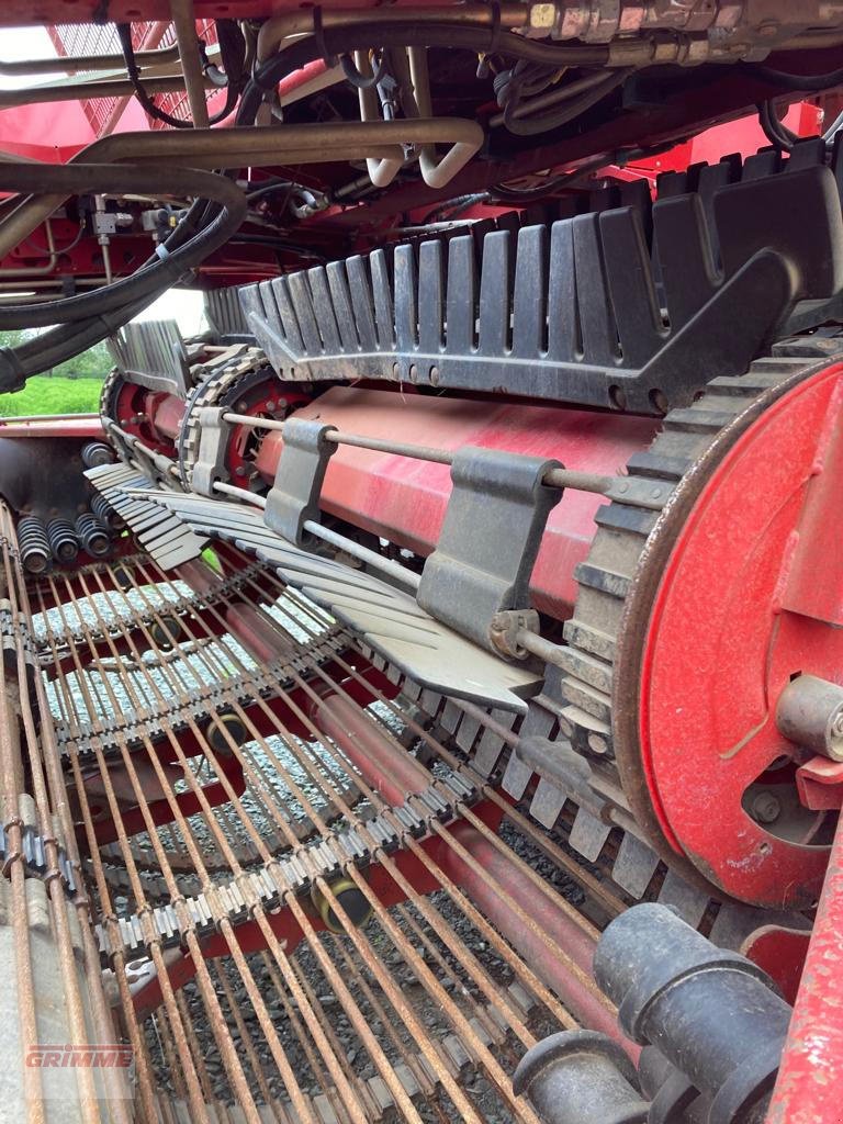 Kartoffelvollernter of the type Grimme TECTRON 415, 4 Row Self-Propelled Potato Harvester, Gebrauchtmaschine in Boston (Picture 24)