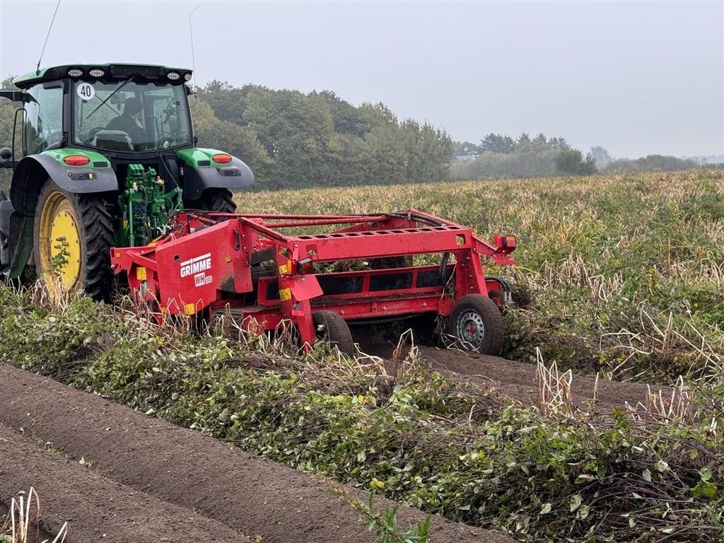 Kartoffelvollernter Türe ait Grimme WH200s med sideudlægning, Gebrauchtmaschine içinde Tønder (resim 2)