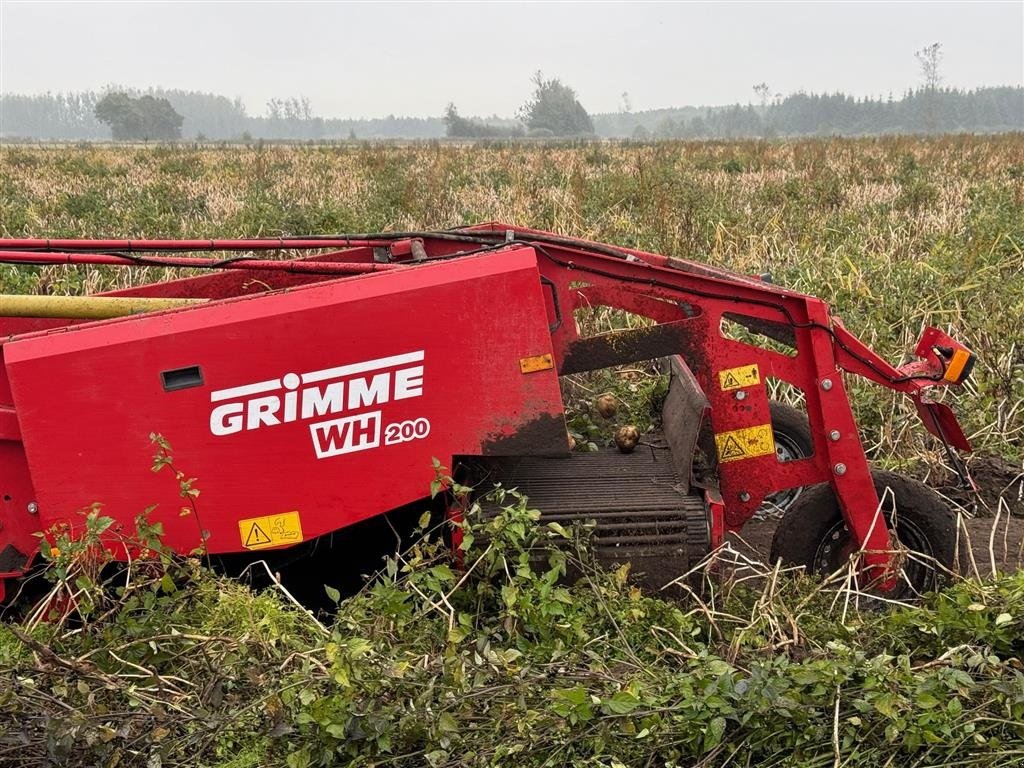 Kartoffelvollernter от тип Grimme WH200s med sideudlægning, Gebrauchtmaschine в Tønder (Снимка 3)