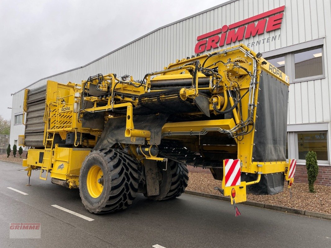 Kartoffelvollernter van het type ROPA KEILER 2 - WD - UFK, Gebrauchtmaschine in Damme (Foto 3)