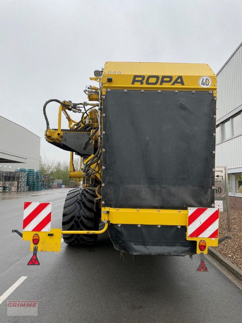 Kartoffelvollernter del tipo ROPA KEILER 2 - WD - UFK, Gebrauchtmaschine en Damme (Imagen 4)