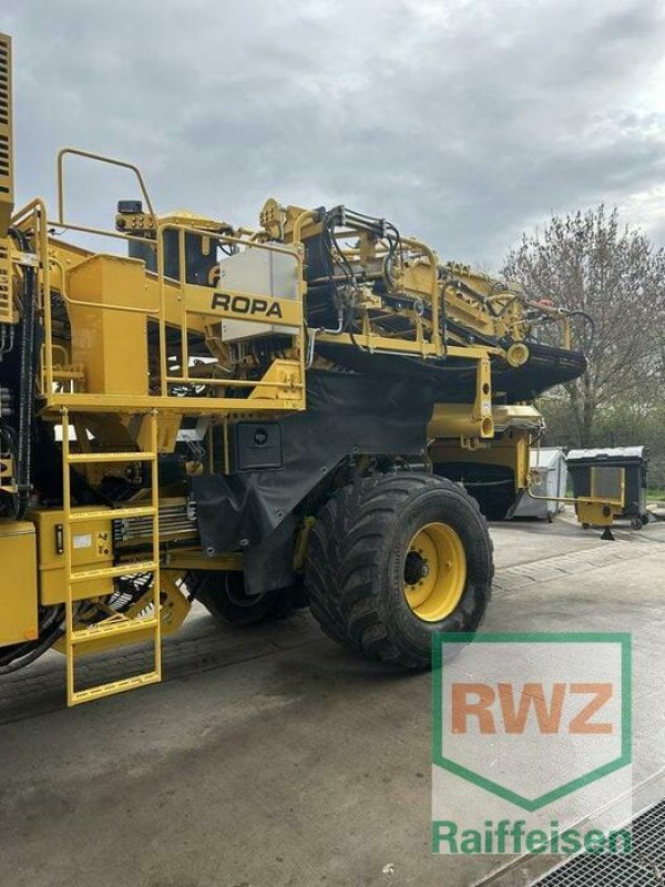 Kartoffelvollernter typu ROPA Keiler 2 WD, Vorführmaschine v Mutterstadt (Obrázok 11)