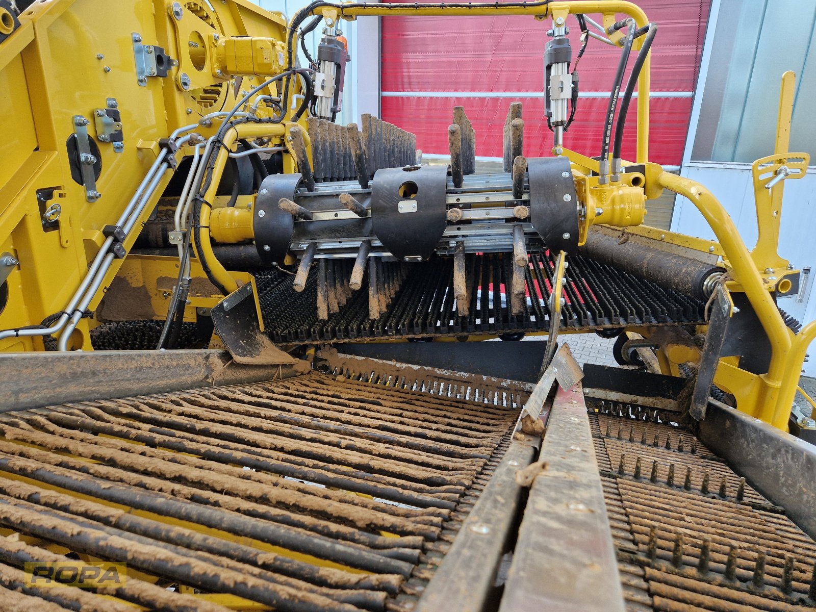 Kartoffelvollernter Türe ait ROPA Keiler I, Gebrauchtmaschine içinde Viersen (resim 15)