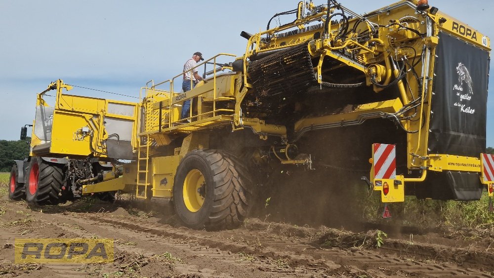 Kartoffelvollernter van het type ROPA Keiler II Classic, Gebrauchtmaschine in Viersen (Foto 8)