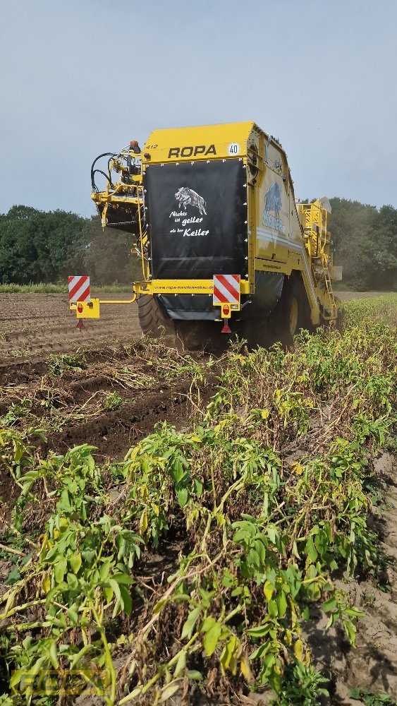 Kartoffelvollernter van het type ROPA Keiler II Classic, Gebrauchtmaschine in Viersen (Foto 9)