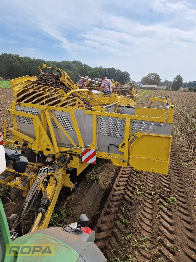 Kartoffelvollernter van het type ROPA Keiler II Classic, Gebrauchtmaschine in Viersen (Foto 12)