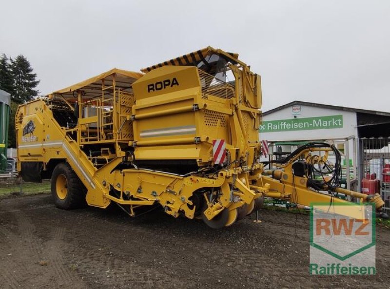 Kartoffelvollernter of the type ROPA Keiler II Classic, Vorführmaschine in Riedstadt-Wolfskehlen (Picture 2)