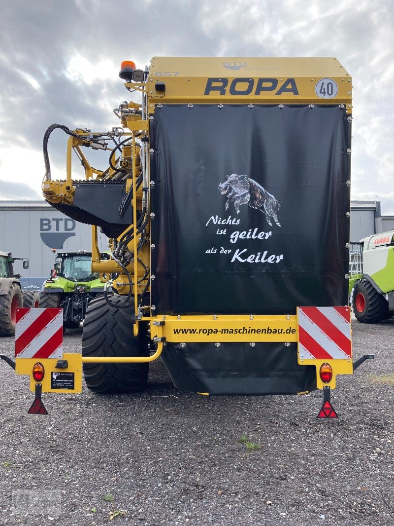 Kartoffelvollernter van het type ROPA Keiler II, Vorführmaschine in Perleberg (Foto 4)