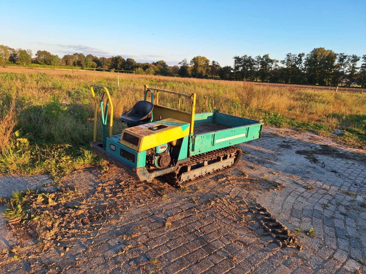 Kipper Türe ait Sonstige Rupsdumper .., Gebrauchtmaschine içinde Veessen (resim 5)