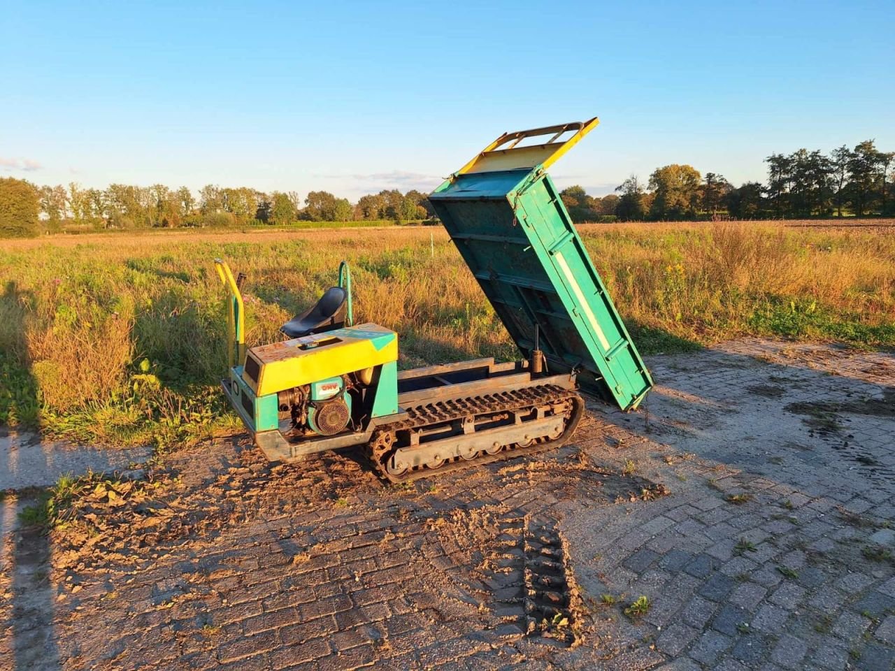 Kipper Türe ait Sonstige Rupsdumper .., Gebrauchtmaschine içinde Veessen (resim 6)