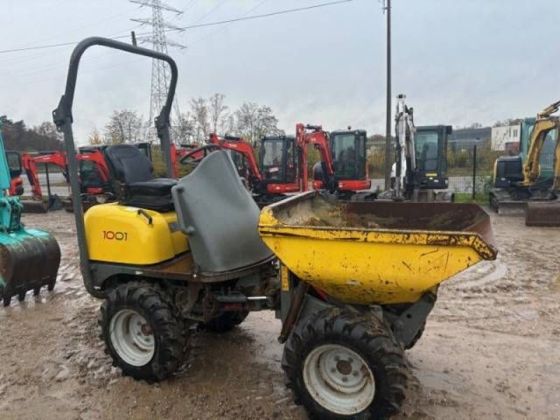 Kipper of the type Wacker Neuson 1001, Gebrauchtmaschine in MOL (Picture 3)