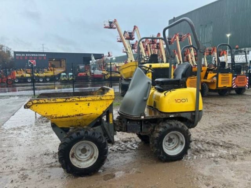 Kipper of the type Wacker Neuson 1001, Gebrauchtmaschine in MOL