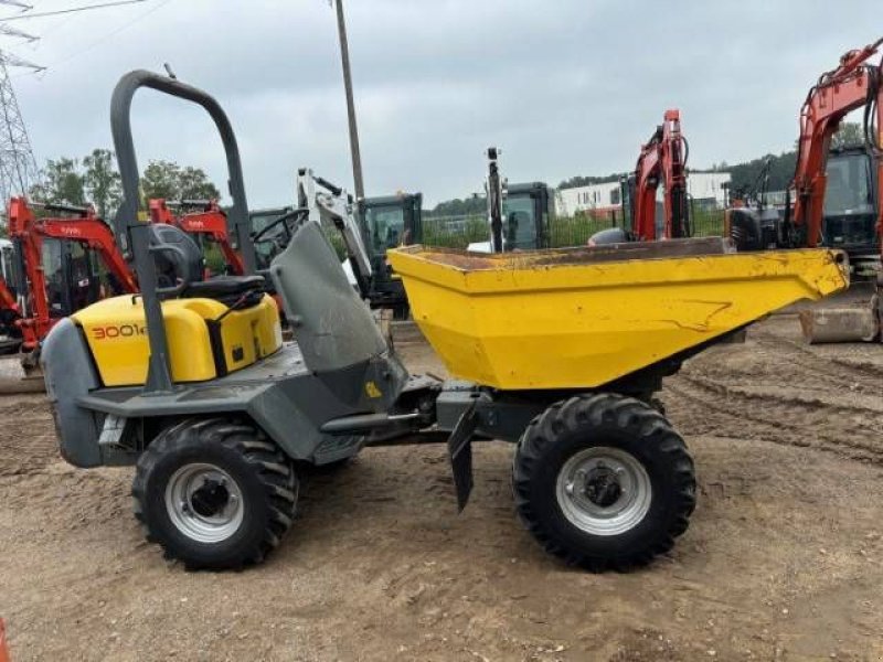 Kipper typu Wacker Neuson 3001, Gebrauchtmaschine v MOL (Obrázok 4)