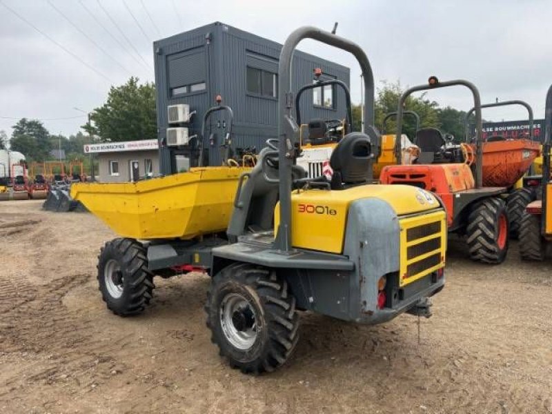 Kipper typu Wacker Neuson 3001, Gebrauchtmaschine v MOL (Obrázok 1)