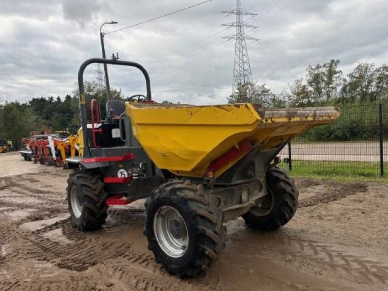 Kipper des Typs Wacker Neuson DW 60, Gebrauchtmaschine in MOL (Bild 5)