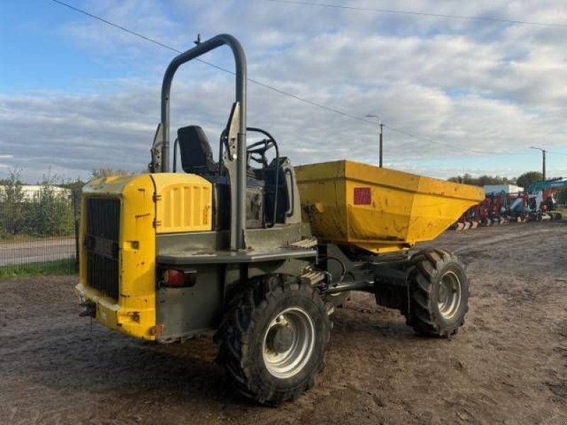 Kipper des Typs Wacker Neuson DW 60, Gebrauchtmaschine in MOL (Bild 2)