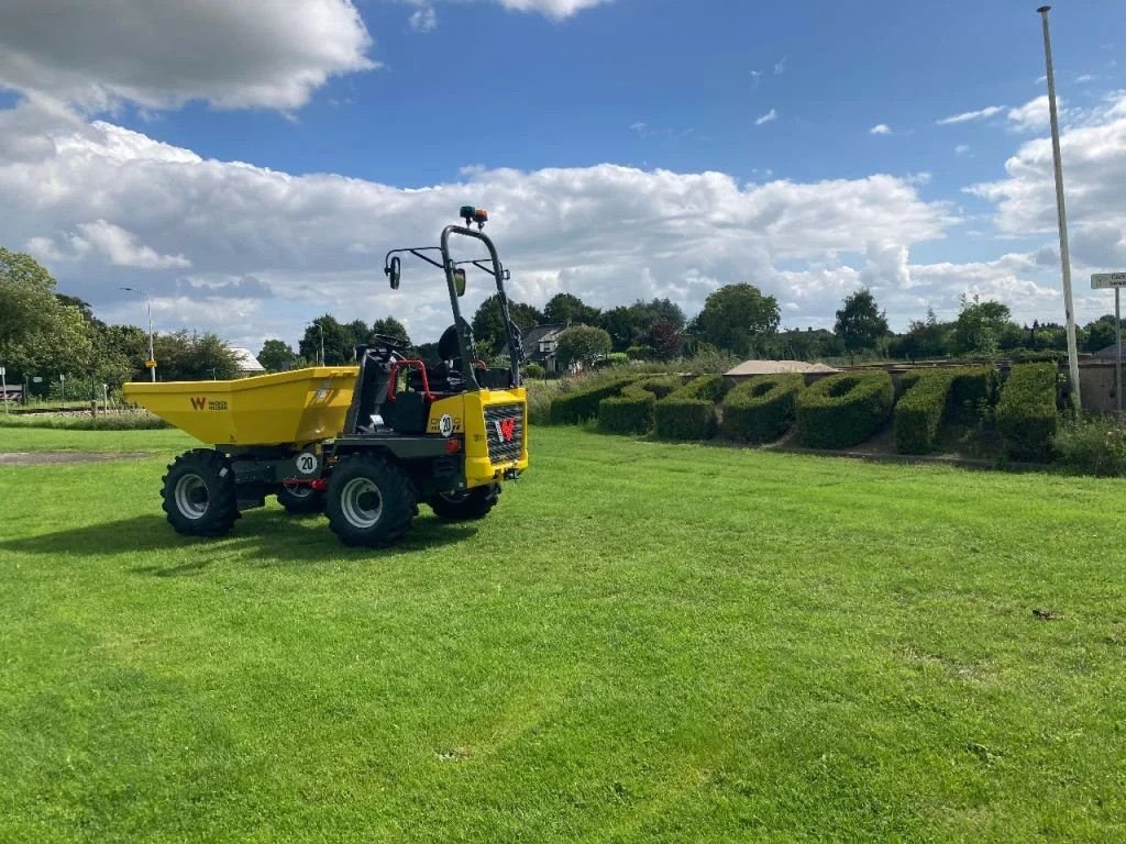 Kipper typu Wacker Neuson DW30 Wieldumper 3 ton laadvermogen + 3 jaar garantie, Neumaschine w Didam (Zdjęcie 1)