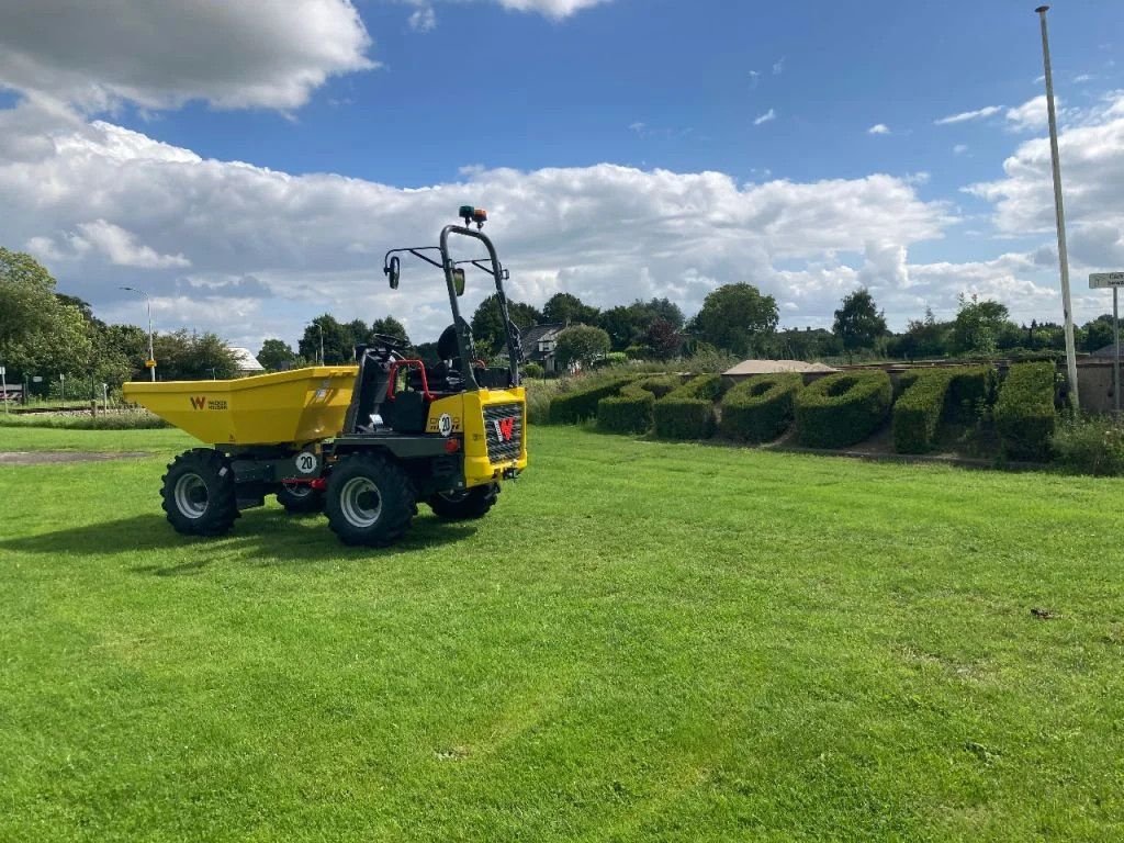 Kipper des Typs Wacker Neuson DW30 Wieldumper 3 ton laadvermogen + 3 jaar garantie, Neumaschine in Didam (Bild 1)