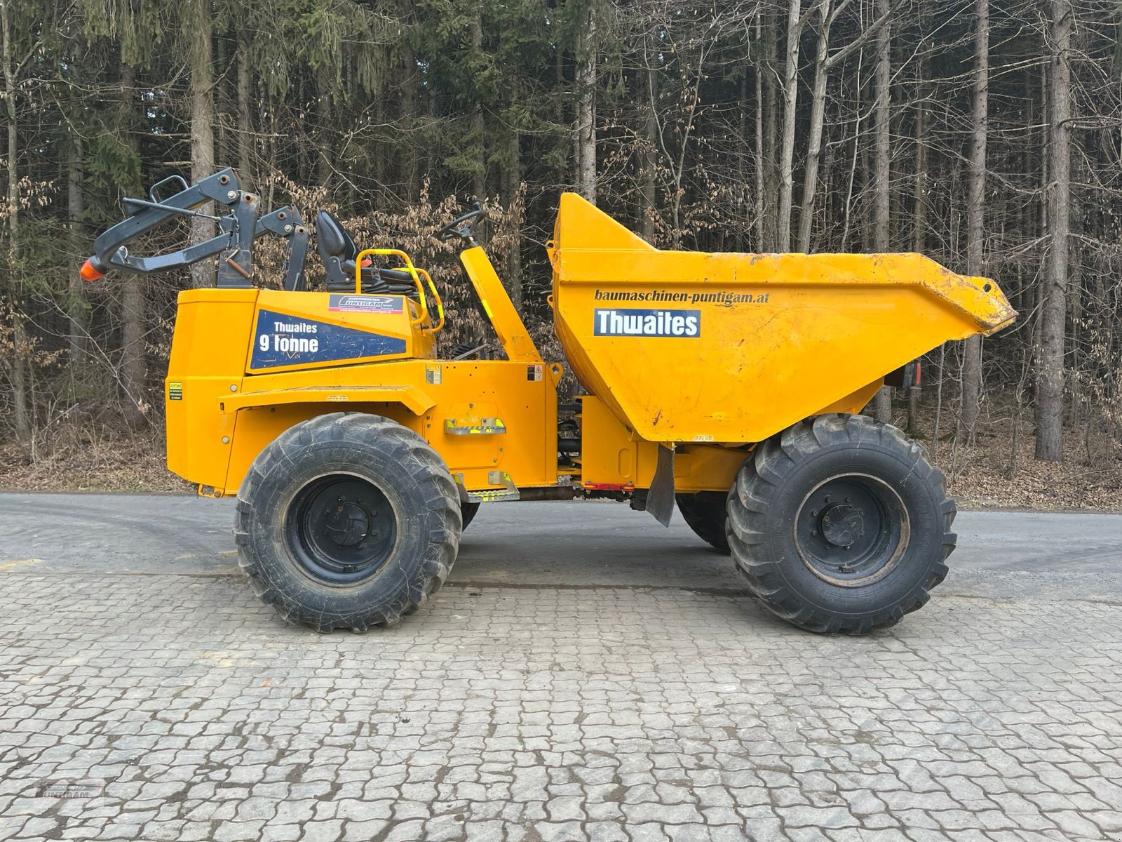 Knickgelenkte Dumper typu Thwaites Mach 2090, Gebrauchtmaschine v Deutsch - Goritz (Obrázek 2)