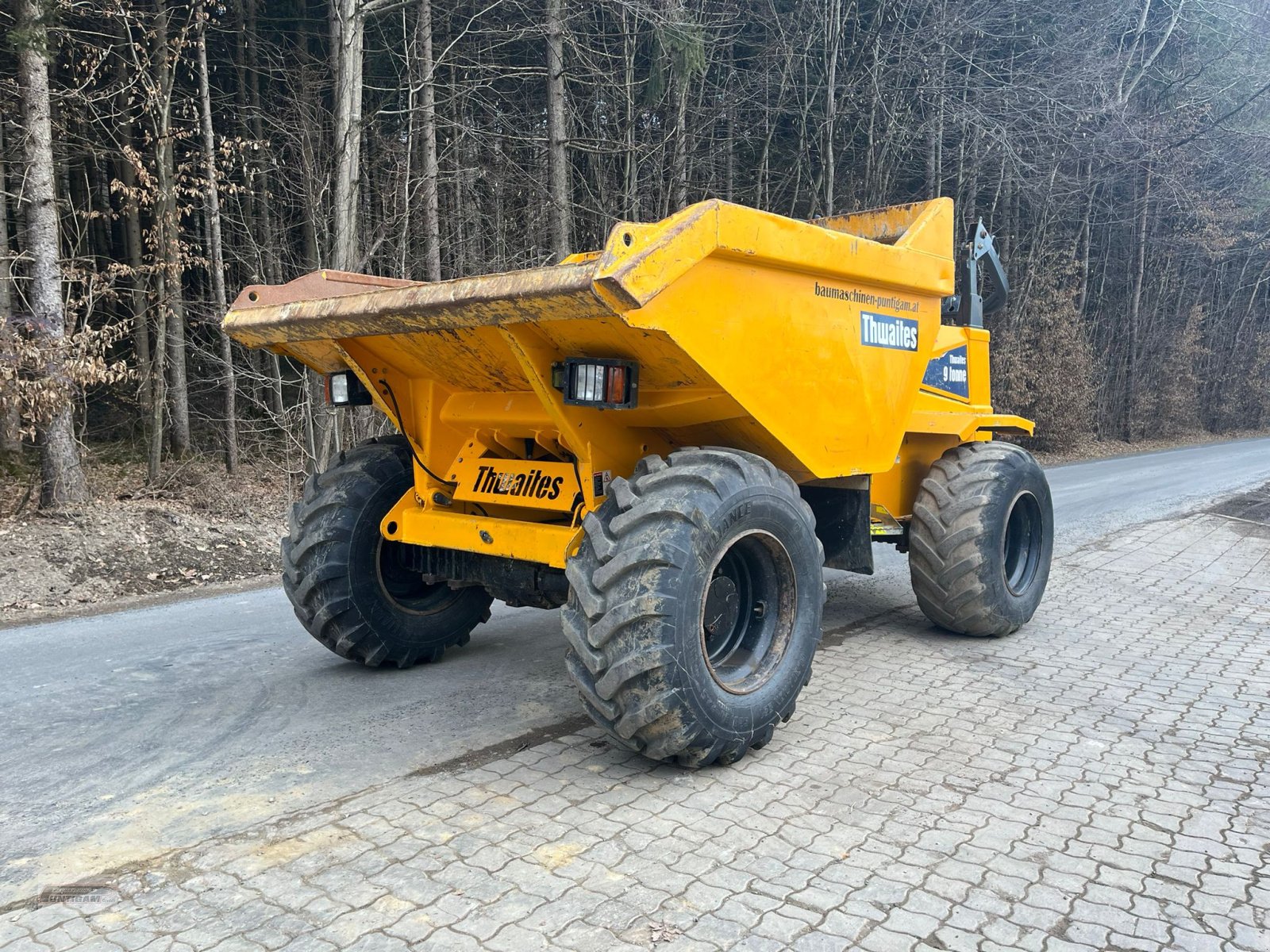 Knickgelenkte Dumper typu Thwaites Mach 2090, Gebrauchtmaschine w Deutsch - Goritz (Zdjęcie 3)