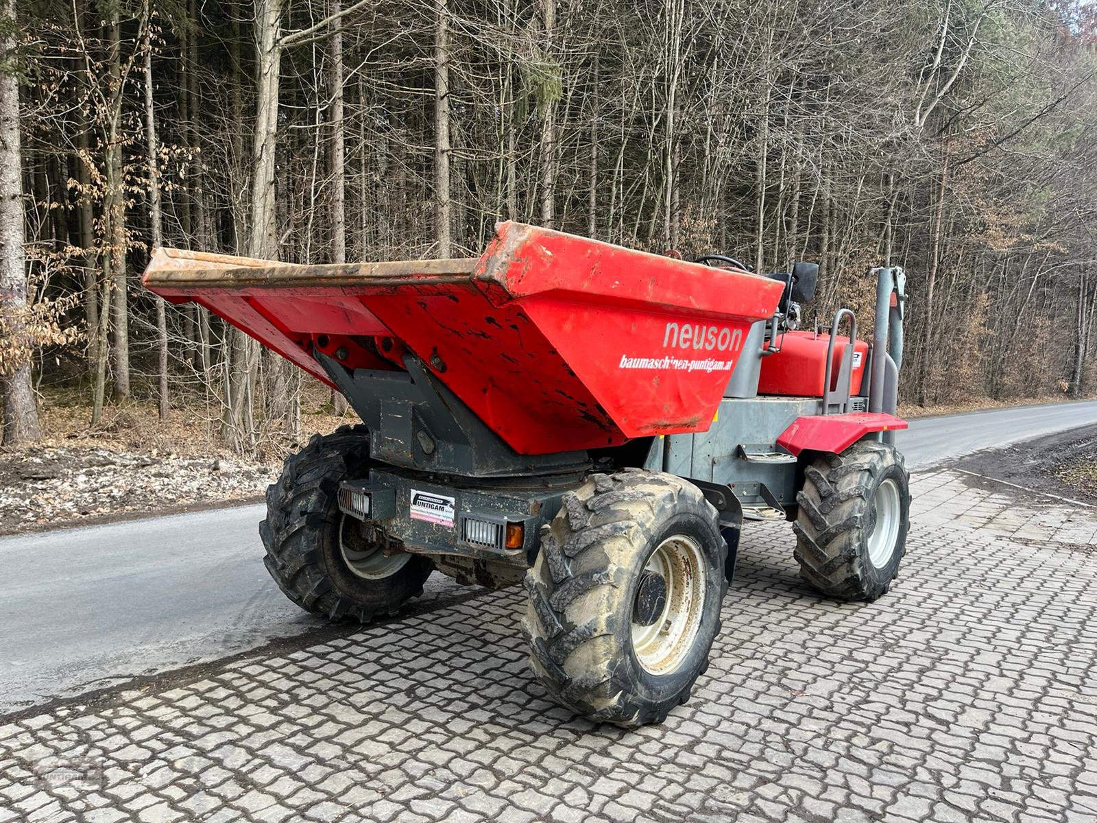 Knickgelenkte Dumper des Typs Wacker Neuson 6001, Gebrauchtmaschine in Deutsch - Goritz (Bild 3)