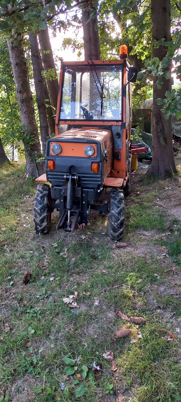 Kommunaltraktor du type Agria 4900, Gebrauchtmaschine en Peuerbach (Photo 2)