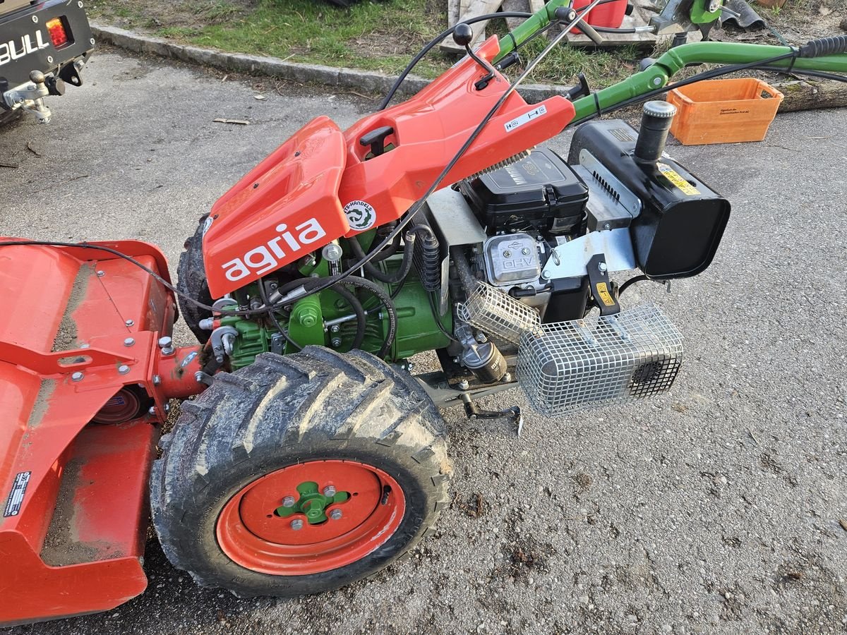 Kommunaltraktor des Typs Agria Agria Taifun 18 mit Umkehrfräse U80, Gebrauchtmaschine in Gallspach (Bild 9)