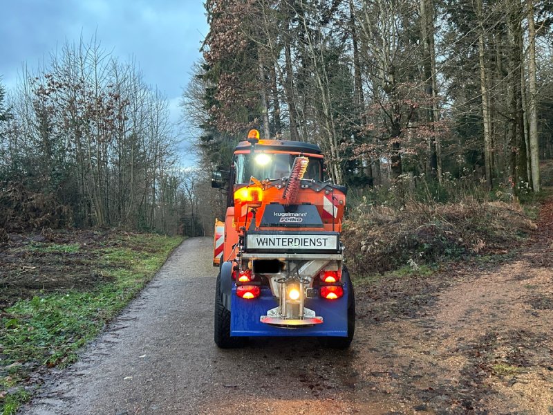 Kommunaltraktor tip Holder C 350, Gebrauchtmaschine in Bad Säckingen (Poză 1)