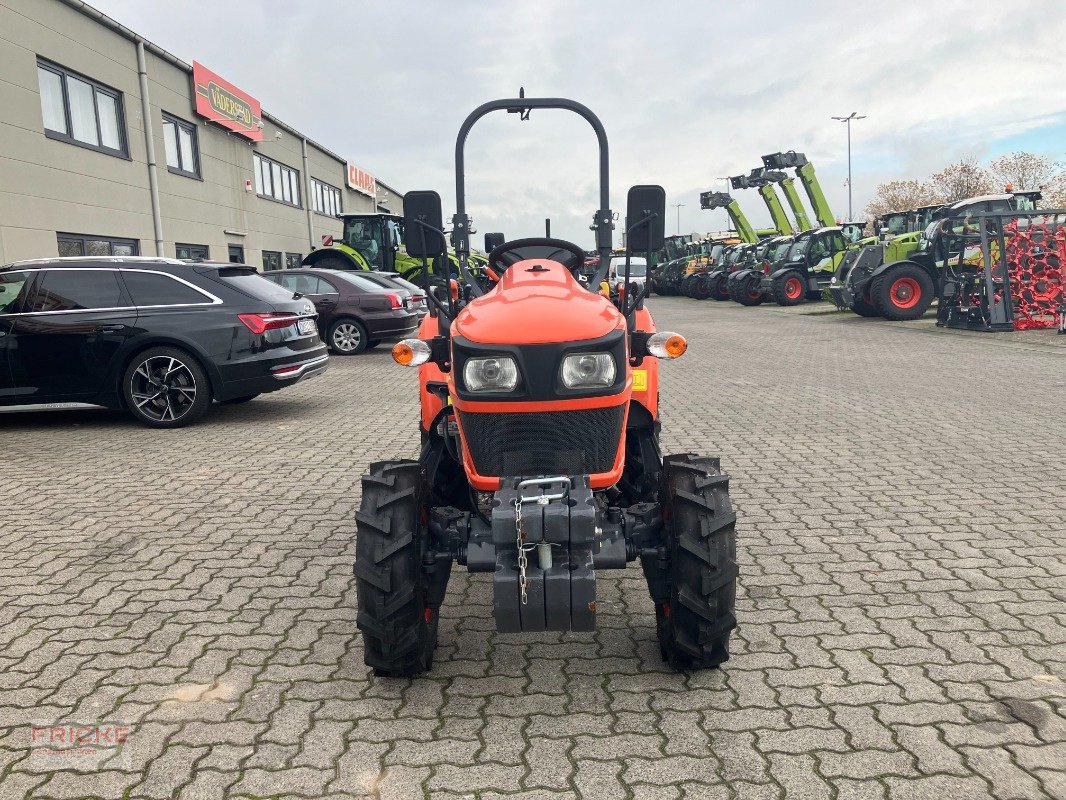 Kommunaltraktor типа Kubota EK1-261, Gebrauchtmaschine в Demmin (Фотография 3)