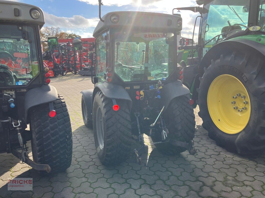 Kommunaltraktor del tipo Lamborghini EGO 55, Gebrauchtmaschine en Bockel - Gyhum (Imagen 3)