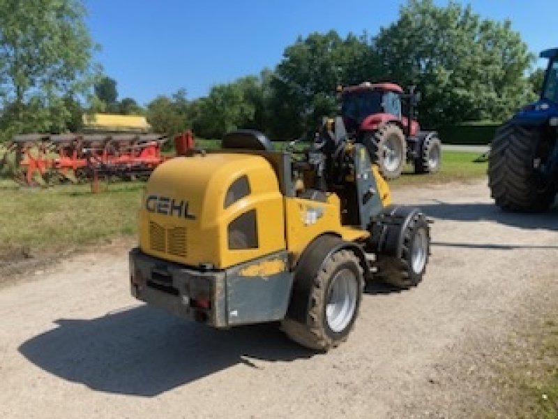 Kompaktlader van het type Gehl AL440, Gebrauchtmaschine in Aabenraa (Foto 3)