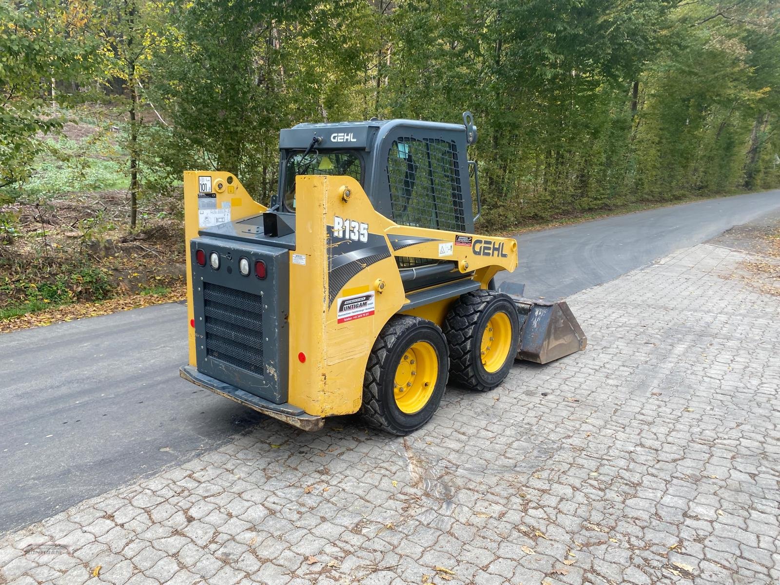 Kompaktlader typu Gehl R 135, Gebrauchtmaschine v Deutsch - Goritz (Obrázek 8)