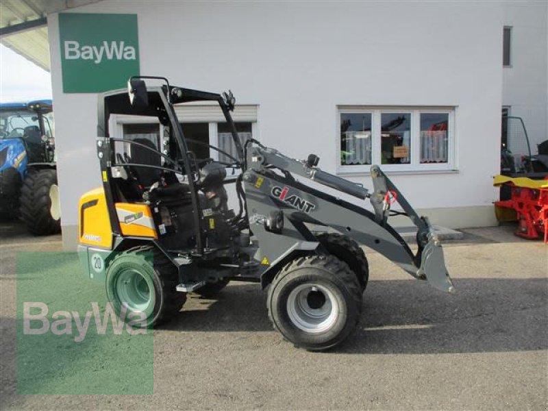 Kompaktlader του τύπου GiANT G 2500 HD   #854, Gebrauchtmaschine σε Schönau b.Tuntenhausen (Φωτογραφία 3)