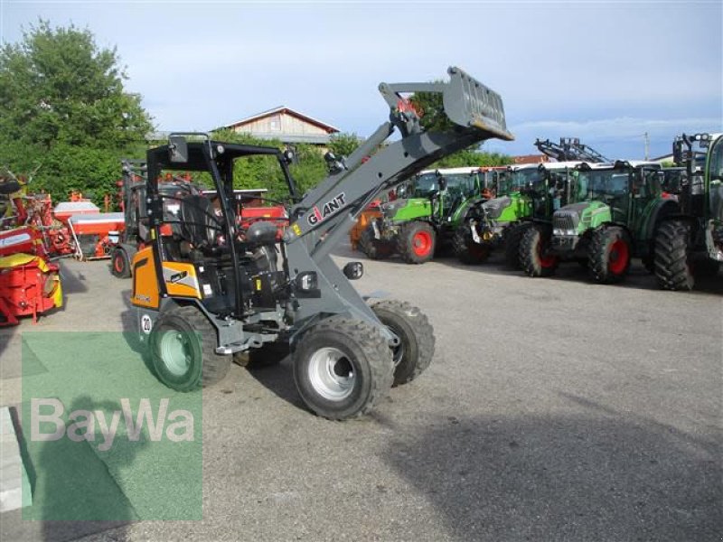 Kompaktlader του τύπου GiANT G 2500 HD   #854, Gebrauchtmaschine σε Schönau b.Tuntenhausen (Φωτογραφία 5)