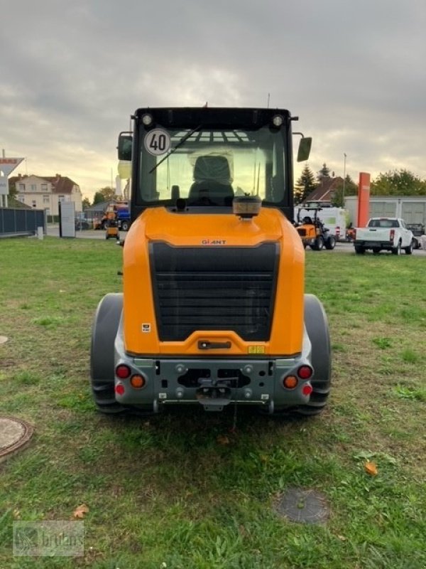 Kompaktlader van het type GiANT G5000, Gebrauchtmaschine in Karstädt (Foto 4)