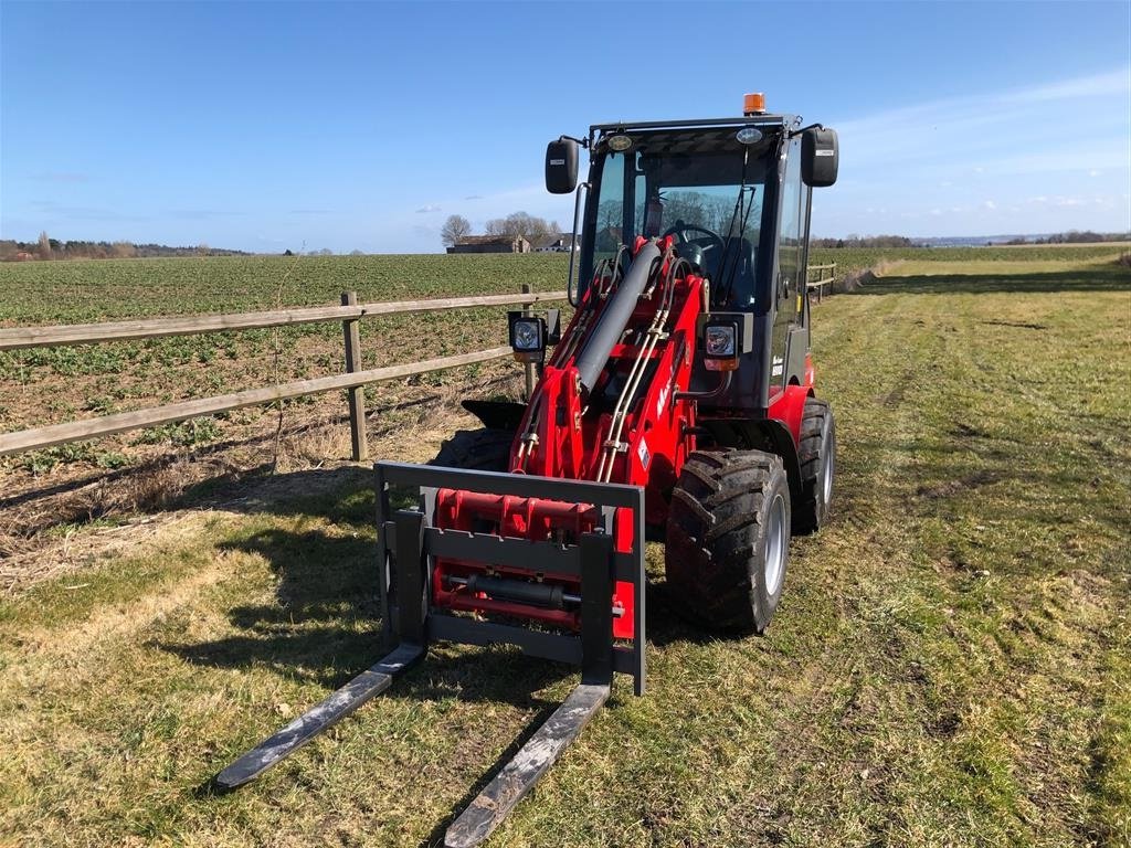 Kompaktlader du type Platz-Max 810, Gebrauchtmaschine en Holbæk (Photo 3)