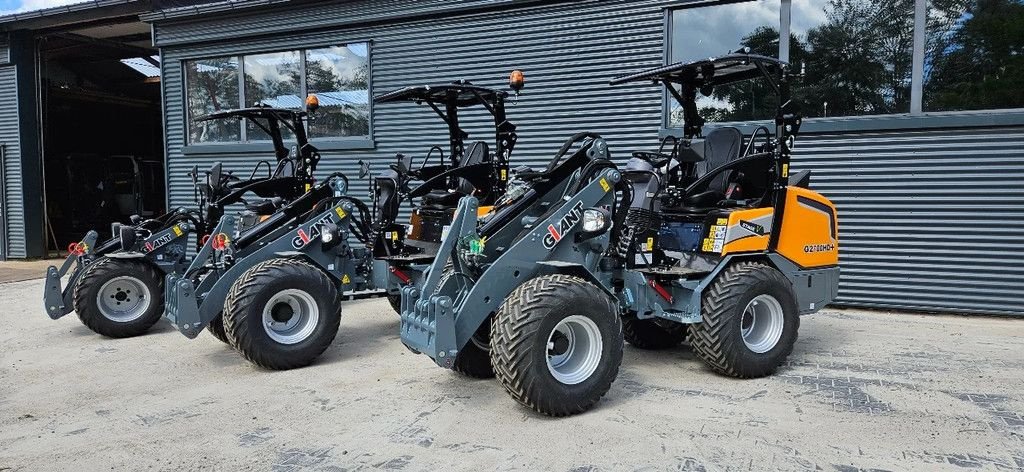 Kompaktlader van het type Sonstige Giant G1500 , 2500, 2700 nieuw ZOMER AANBIEDINGEN, Gebrauchtmaschine in Scharsterbrug (Foto 1)